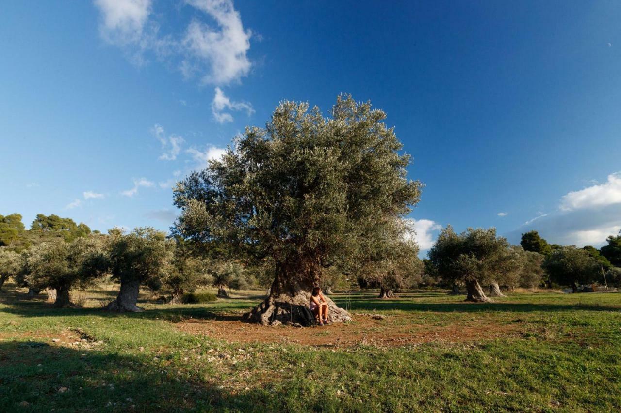 Kouvelia Country Home Luxury Villa Rental Νεροτριβιά Εξωτερικό φωτογραφία
